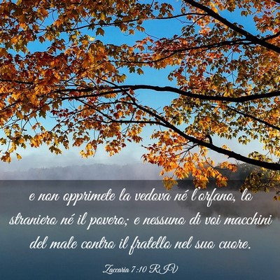 Picture 03 - Zaccaria 7:10 RIV - e non opprimete la vedova né l’orfano, lo - Bible Verse Picture