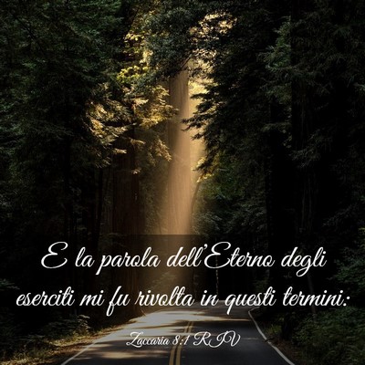 Picture 03 - Zaccaria 8:1 RIV - E la parola dell’Eterno degli eserciti mi fu - Bible Verse Picture