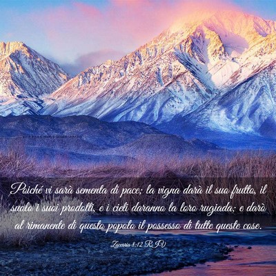Picture 03 - Zaccaria 8:12 RIV - Poiché vi sarà sementa di pace; la vigna darà - Bible Verse Picture