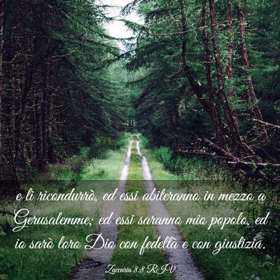 Picture 03 - Zaccaria 8:8 RIV - e li ricondurrò, ed essi abiteranno in mezzo a - Bible Verse Picture