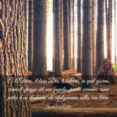 Picture 03 - Zaccaria 9:16 RIV - E l’Eterno, il loro Dio, li salverà, in quel - Bible Verse Picture
