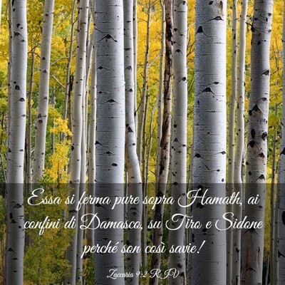 Picture 03 - Zaccaria 9:2 RIV - Essa si ferma pure sopra Hamath, ai confini di - Bible Verse Picture