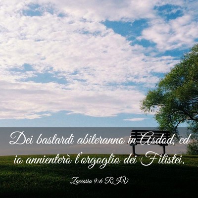 Picture 03 - Zaccaria 9:6 RIV - Dei bastardi abiteranno in Asdod, ed io - Bible Verse Picture
