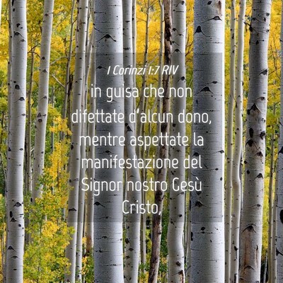Picture 04 - 1 Corinzi 1:7 RIV - in guisa che non difettate d’alcun dono, mentre - Bible Verse Picture