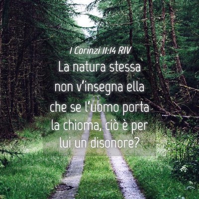 Picture 04 - 1 Corinzi 11:14 RIV - La natura stessa non v’insegna ella che se - Bible Verse Picture