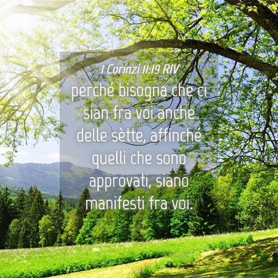 Picture 04 - 1 Corinzi 11:19 RIV - perché bisogna che ci sian fra voi anche delle - Bible Verse Picture