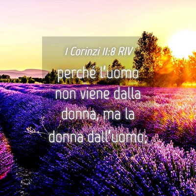 Picture 04 - 1 Corinzi 11:8 RIV - perché l’uomo non viene dalla donna, ma la - Bible Verse Picture