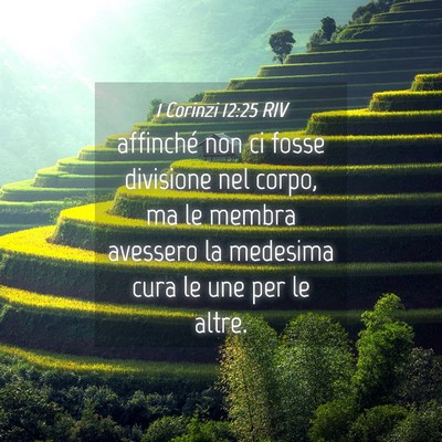 Picture 04 - 1 Corinzi 12:25 RIV - affinché non ci fosse divisione nel corpo, ma le - Bible Verse Picture