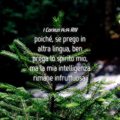 Picture 04 - 1 Corinzi 14:14 RIV - poiché, se prego in altra lingua, ben prega lo - Bible Verse Picture