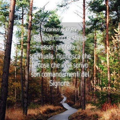 Picture 04 - 1 Corinzi 14:37 RIV - Se qualcuno si stima esser profeta o spirituale, - Bible Verse Picture