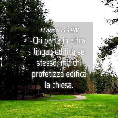 Picture 04 - 1 Corinzi 14:4 RIV - Chi parla in altra lingua edifica se stesso; ma - Bible Verse Picture