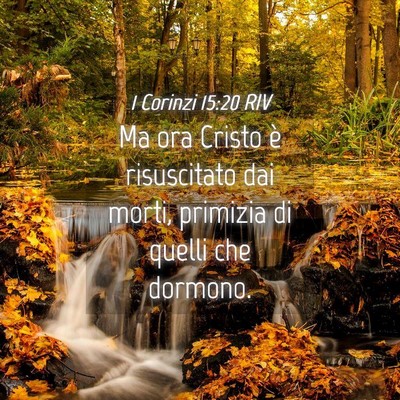 Picture 04 - 1 Corinzi 15:20 RIV - Ma ora Cristo è risuscitato dai morti, primizia - Bible Verse Picture