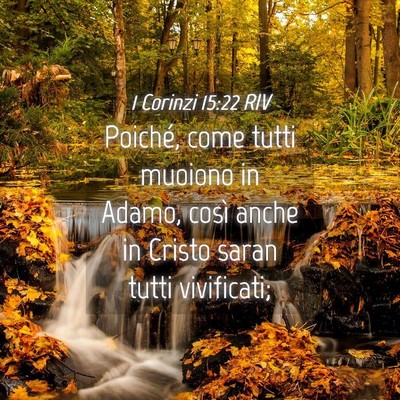 Picture 04 - 1 Corinzi 15:22 RIV - Poiché, come tutti muoiono in Adamo, così anche - Bible Verse Picture
