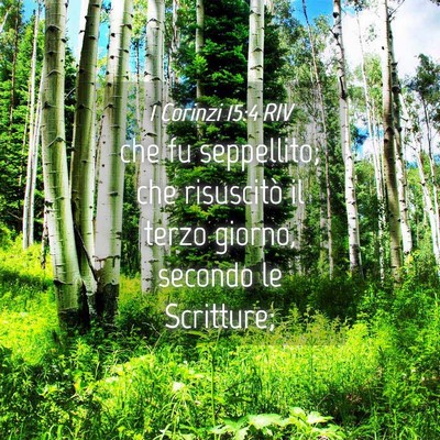 Picture 04 - 1 Corinzi 15:4 RIV - che fu seppellito; che risuscitò il terzo - Bible Verse Picture