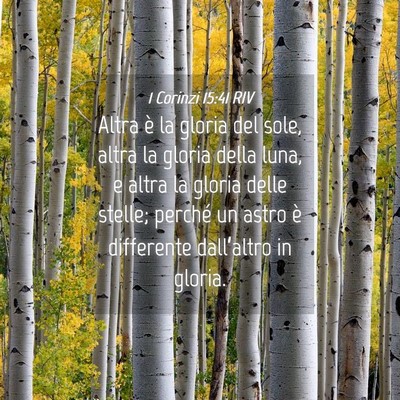 Picture 04 - 1 Corinzi 15:41 RIV - Altra è la gloria del sole, altra la gloria - Bible Verse Picture