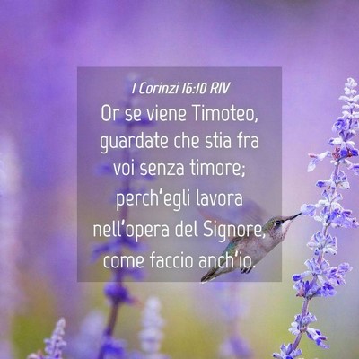 Picture 04 - 1 Corinzi 16:10 RIV - Or se viene Timoteo, guardate che stia fra voi - Bible Verse Picture