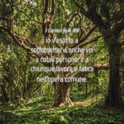 Picture 04 - 1 Corinzi 16:16 RIV - io v’esorto a sottomettervi anche voi a cotali - Bible Verse Picture