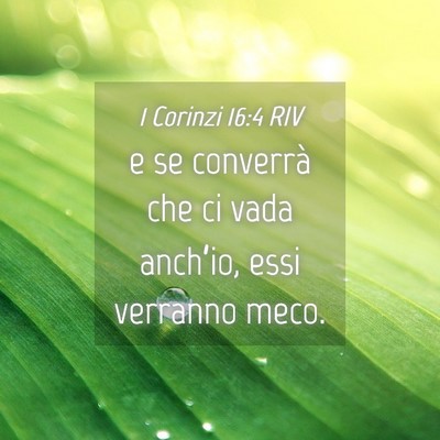 Picture 04 - 1 Corinzi 16:4 RIV - e se converrà che ci vada anch’io, essi - Bible Verse Picture