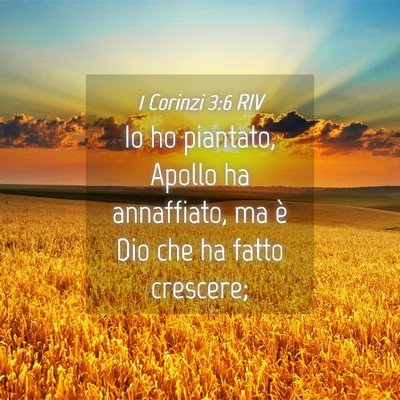 Picture 04 - 1 Corinzi 3:6 RIV - Io ho piantato, Apollo ha annaffiato, ma è Dio - Bible Verse Picture