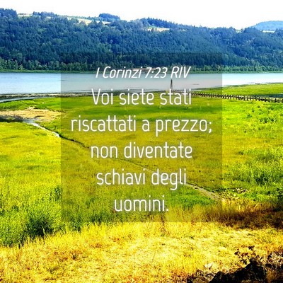 Picture 04 - 1 Corinzi 7:23 RIV - Voi siete stati riscattati a prezzo; non - Bible Verse Picture