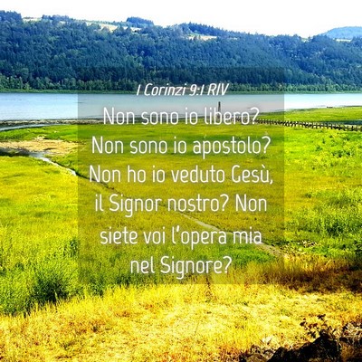 Picture 04 - 1 Corinzi 9:1 RIV - Non sono io libero? Non sono io apostolo? Non ho - Bible Verse Picture