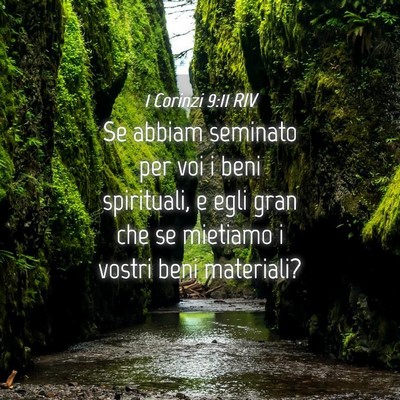 Picture 04 - 1 Corinzi 9:11 RIV - Se abbiam seminato per voi i beni spirituali, e - Bible Verse Picture