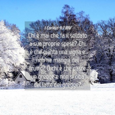 Picture 04 - 1 Corinzi 9:7 RIV - Chi è mai che fa il soldato a sue proprie spese? - Bible Verse Picture