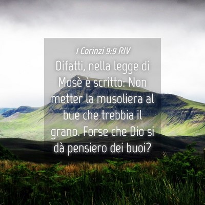 Picture 04 - 1 Corinzi 9:9 RIV - Difatti, nella legge di Mosè è scritto: Non - Bible Verse Picture