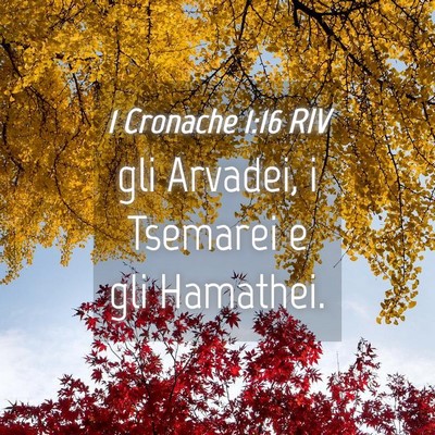 Picture 04 - 1 Cronache 1:16 RIV - gli Arvadei, i Tsemarei e gli - Bible Verse Picture