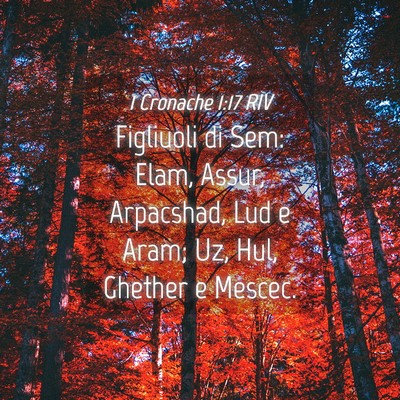 Picture 04 - 1 Cronache 1:17 RIV - Figliuoli di Sem: Elam, Assur, Arpacshad, Lud e - Bible Verse Picture