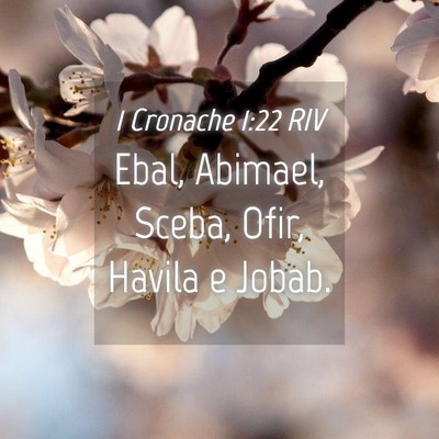 Picture 04 - 1 Cronache 1:22 RIV - Ebal, Abimael, Sceba, Ofir, Havila e - Bible Verse Picture