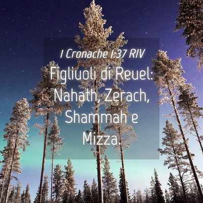 Picture 04 - 1 Cronache 1:37 RIV - Figliuoli di Reuel: Nahath, Zerach, Shammah e - Bible Verse Picture