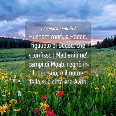Picture 04 - 1 Cronache 1:46 RIV - Husham morì, e Hadad, figliuolo di Bedad, che - Bible Verse Picture