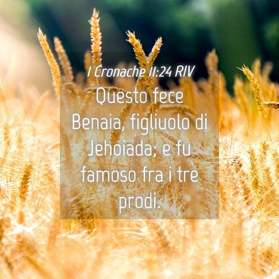 Picture 04 - 1 Cronache 11:24 RIV - Questo fece Benaia, figliuolo di Jehoiada; e fu - Bible Verse Picture