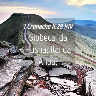 Picture 04 - 1 Cronache 11:29 RIV - Sibbecai da Husha; Ilai da - Bible Verse Picture