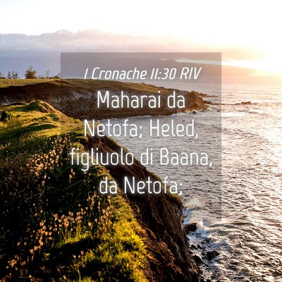 Picture 04 - 1 Cronache 11:30 RIV - Maharai da Netofa; Heled, figliuolo di Baana, da - Bible Verse Picture