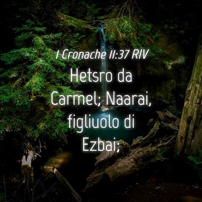 Picture 04 - 1 Cronache 11:37 RIV - Hetsro da Carmel; Naarai, figliuolo di - Bible Verse Picture