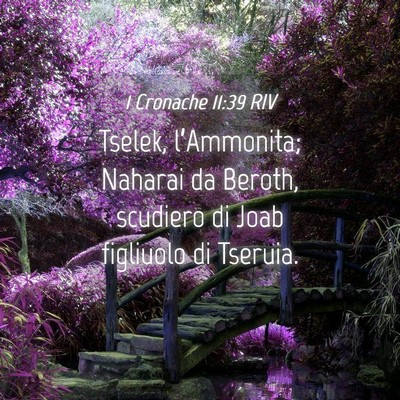 Picture 04 - 1 Cronache 11:39 RIV - Tselek, l’Ammonita; Naharai da Beroth, scudiero - Bible Verse Picture