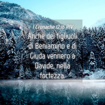 Picture 04 - 1 Cronache 12:16 RIV - Anche dei figliuoli di Beniamino e di Giuda - Bible Verse Picture