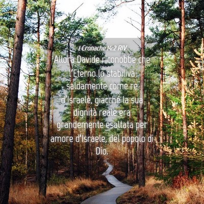 Picture 04 - 1 Cronache 14:2 RIV - Allora Davide riconobbe che l’Eterno lo - Bible Verse Picture