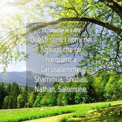 Picture 04 - 1 Cronache 14:4 RIV - Questi sono i nomi dei figliuoli che gli nacquero - Bible Verse Picture