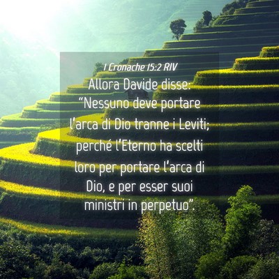 Picture 04 - 1 Cronache 15:2 RIV - Allora Davide disse: “Nessuno deve portare - Bible Verse Picture