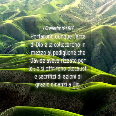 Picture 04 - 1 Cronache 16:1 RIV - Portarono dunque l’arca di Dio e la collocarono - Bible Verse Picture