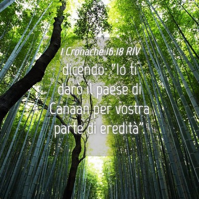 Picture 04 - 1 Cronache 16:18 RIV - dicendo: “Io ti darò il paese di Canaan per - Bible Verse Picture