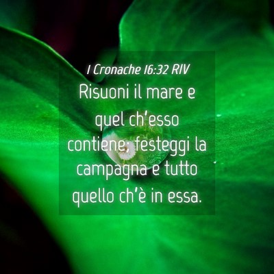 Picture 04 - 1 Cronache 16:32 RIV - Risuoni il mare e quel ch’esso contiene; - Bible Verse Picture
