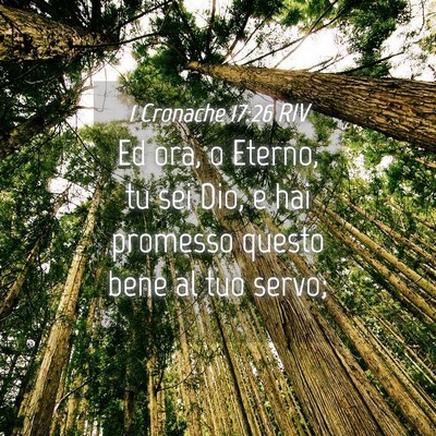 Picture 04 - 1 Cronache 17:26 RIV - Ed ora, o Eterno, tu sei Dio, e hai promesso - Bible Verse Picture