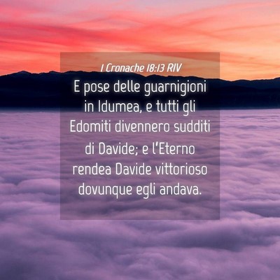 Picture 04 - 1 Cronache 18:13 RIV - E pose delle guarnigioni in Idumea, e tutti gli - Bible Verse Picture