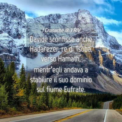 Picture 04 - 1 Cronache 18:3 RIV - Davide sconfisse anche Hadarezer, re di Tsoba, - Bible Verse Picture