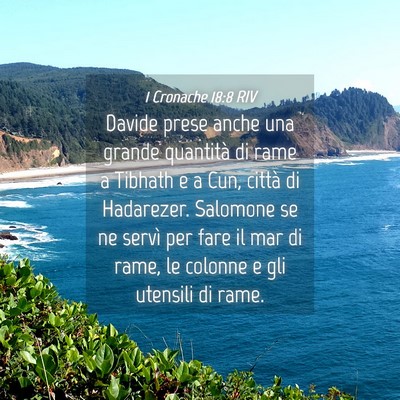 Picture 04 - 1 Cronache 18:8 RIV - Davide prese anche una grande quantità di rame a - Bible Verse Picture