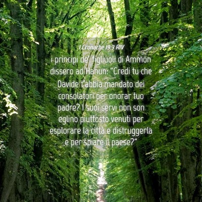Picture 04 - 1 Cronache 19:3 RIV - i principi de’ figliuoli di Ammon dissero ad - Bible Verse Picture